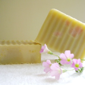 夏日淨白美膚系列 ~蘆薈蜂蜜檸檬淨白舒緩皂