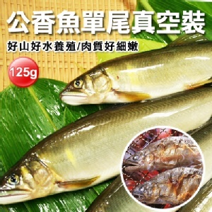 肥美鮮嫩公香魚