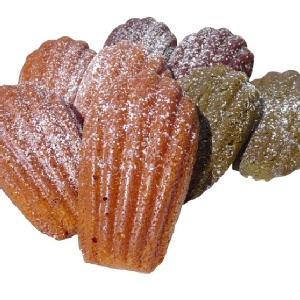 繽紛貝殼蛋糕(綜合口味，玫瑰。可可。原味。抹茶)