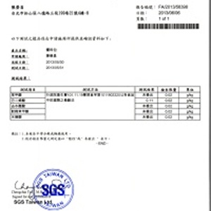 SGS檢驗報告3