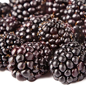 【幸美生技】冷凍莓果系列-黑莓