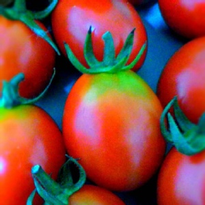 櫻桃小丸子 1斤裝