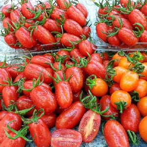 薄皮多汁溫室小蕃茄 特價：$99