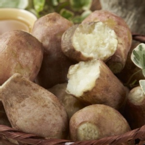 【御品金藷系列】水果地瓜