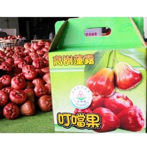 高樹叮噹果~頂級蓮霧~甜度14度以上(3斤裝)