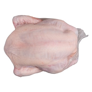 桂丁土雞大全雞