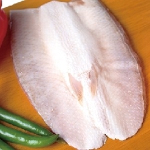 黑琵灣野放銀鑽皇魚片