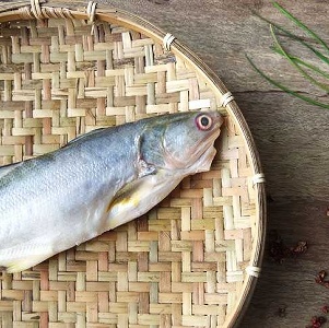 午仔魚(三去)