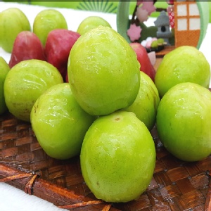 爆漿蜜棗- 珍蜜蜜棗 特價：$289