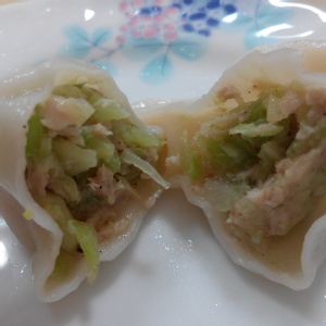 芥菜雞水餃試吃特價