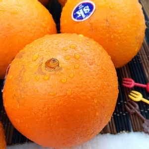 巨無霸無籽甜臍橙~夏日消暑盛品 特價：$27