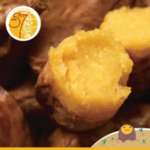 《水林》台農57號冰心地瓜 特價：$125