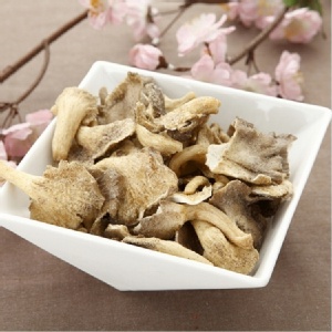 秀珍菇餅乾(原味/素食)