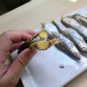 爆卵柳葉魚