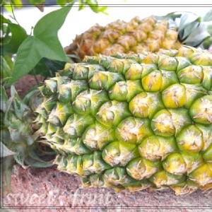 台農17號金鑽鳳梨 特價：$49