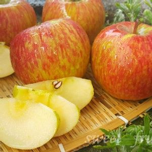 高山無蠟蜜蘋果 特價：$17