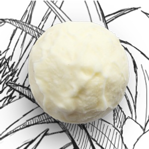 鮮萃鳳梨 特價：$52