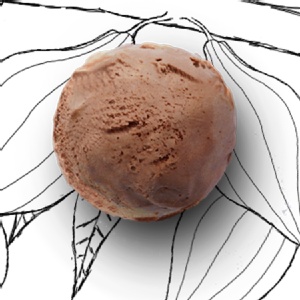 米歇爾．柯茲 巧克力