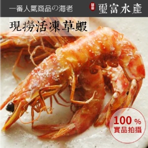 現撈活凍草蝦
