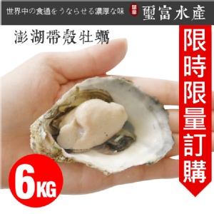 澎湖空運直送帶殼牡蠣 6KG