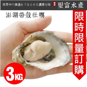 澎湖空運直送帶殼牡蠣 3KG