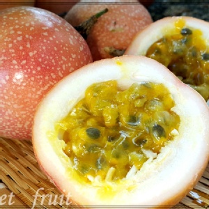 蜜糖滿天星百香果 特價：$110