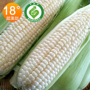 北海道水果牛奶玉米 170g/支(請以10的倍數下單) 特價：$39