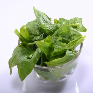歐盟有機認證急凍蔬菜-菠菜