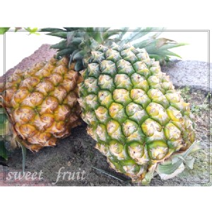 龍泉爆汁蜜鳳梨 特價：$50