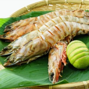 澎湖野生大明蝦(4~6尾)