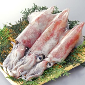 [主購禮] 滿1588元，贈生凍魷魚單包