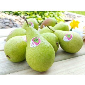 紐西蘭嚴選香水梨~脆甜多汁