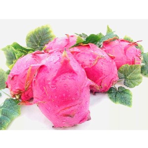 高甜度鮮採紅火龍果 特價：$255