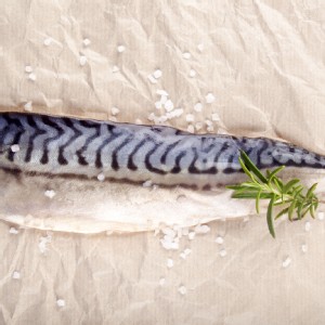 【愛呷魚】外銷等級挪威薄鹽鯖魚片 (140~170g) 特價：$45