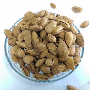 【聖萱坊】杏仁果