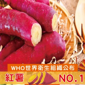 【綠之醇】A級日本超人氣栗香地瓜