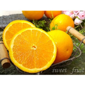 【鮮瑩】無籽甜臍橙 特價：$14