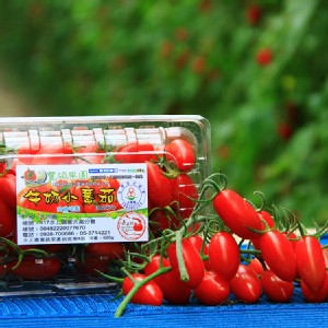 【豐碩果園】頂級玉女牛奶小番茄 特價：$140
