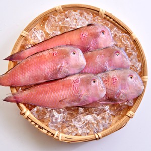 【凍凍鮮】澎湖野生紅新娘魚 200g