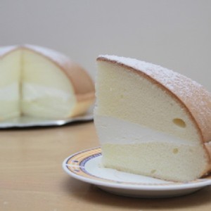 免運!【正家旺】4盒 雷萌波士頓蛋糕、生乳捲、生乳波士頓蛋糕 9吋