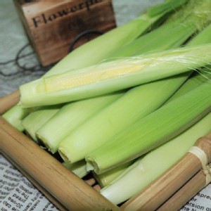 【豐碩果園】新鮮現採 帶殼新鮮玉米筍 特價：$130