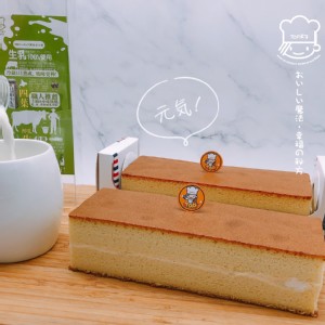 【大合購獨家】【TOP王子】四葉醇乳生蛋糕 生ケーキ(長條)