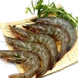 【金園排骨】天龍-金鑽蝦