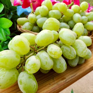 【鮮瑩】糖心綠無籽葡萄
