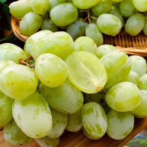 [主購禮] 單筆訂單份數滿19包，送【鮮瑩】甜心黑鑽無籽葡萄/糖心綠無籽葡萄1包