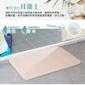 【樂嫚妮】吸水速乾珪藻土矽藻土地墊 輕包裝版(E059)