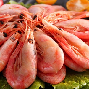 【海之醇】挪威當季北極甜蝦