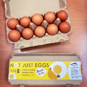 免運!【八方農富科技】不只是蛋雞蛋自動宅配管家(非籠飼養雞蛋) 10入/盒 (4盒，每盒176.7元)