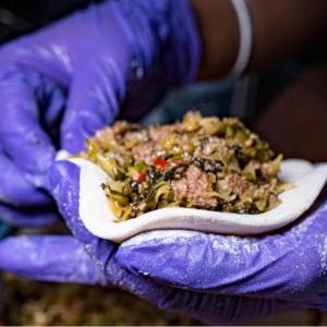 【家之味】手工辣味客家酸菜包子