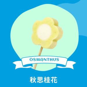 【梅花の冰】秋思桂花